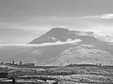 Ararat