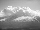 Ararat