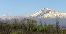 Ararat