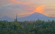 Ararat