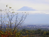 Ararat