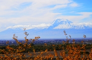 Ararat