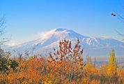 Ararat