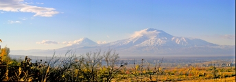 Ararat