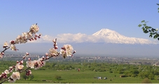 Ararat