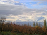 Ararat