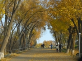 Yerevan